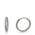 Oorringen creolen Titanium