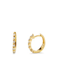 606099 main