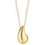 608862_596869_o