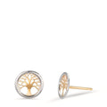 Oorknoppen 585/14K geel goud Bi-color Boom van leven Ø8 mm