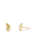 Clous d'oreilles Or jaune 9K