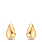 Clous d'oreilles Or jaune 9K