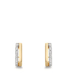 Scharnier oorringen creolen 375/9K geel goud Zirkonia 16 Steen Bi-color