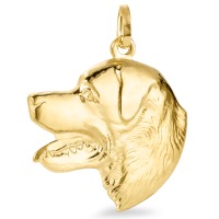 Hanger 375/9 krt geel goud Hond-519169