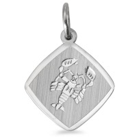 Hanger Zilver Gerhodineerd Sterrenbeeld Kreeft-557057